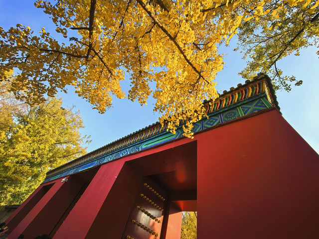 有一种美，叫“地坛的秋”