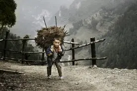 忆童年拾柴情景图片