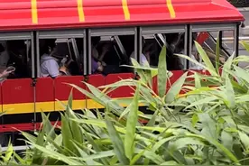 安徽游客中秋游长沙直奔橘子洲头，山东游客惊呼“没想到地铁从江底穿过”图片