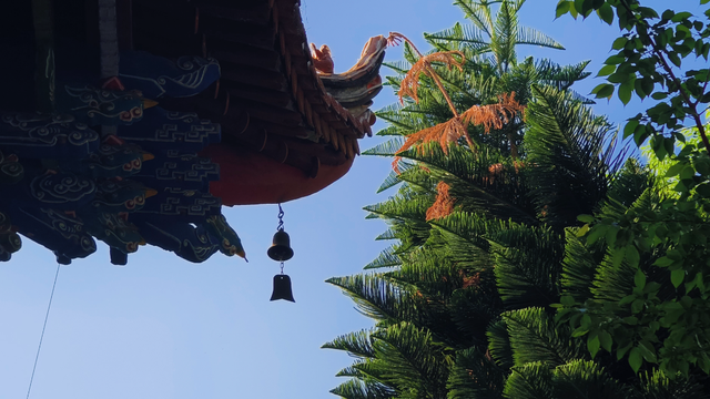 旅居昆明去哪里？走，向南1小时直达23℃的宜良~