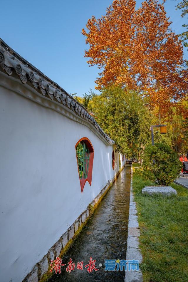 济南泉景再添彩！墨泉、梅花泉、漱玉泉争相喷涌，市民赏泉络绎不绝