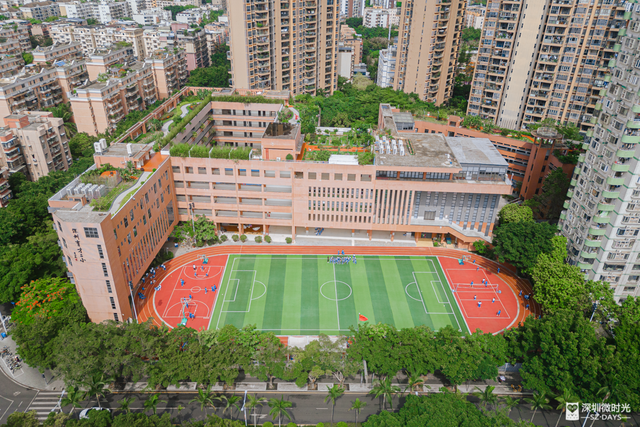 一条荔园路，多少蛇口人的前半生