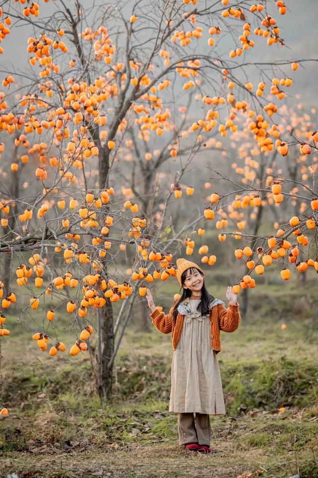 柿子红了！日照这片“柿”情画意，超出片！