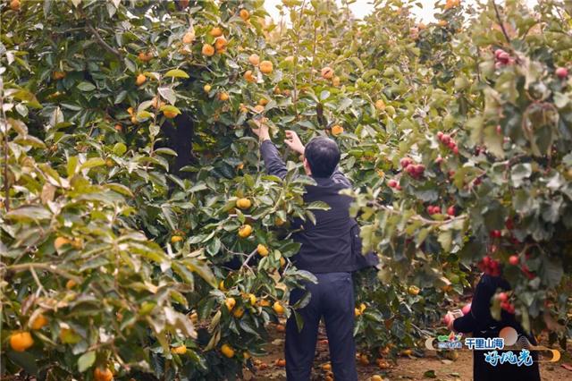 出发！抓住秋天的尾巴！威海“拾秋地图”上新啦
