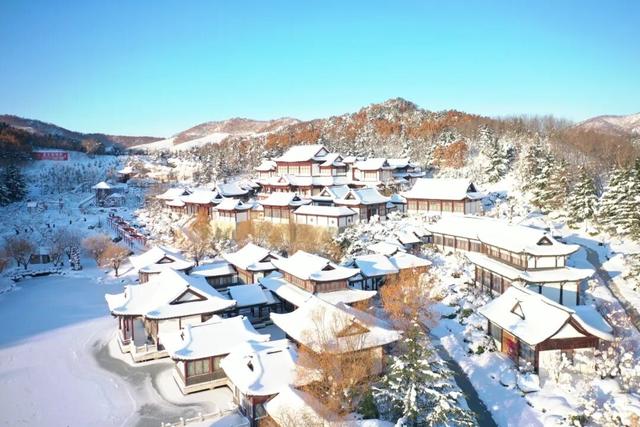 赴新岁之约，威海文旅“跨年大餐”来了！