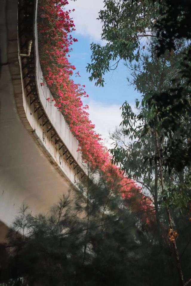 在丰泽，抬头撞见的美好......