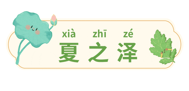 【赠票】亲子必玩！化身小药童闯关本草世界｜静宝福利站
