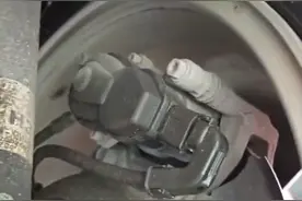 流浪猫钻进车内机舱 途虎机修师傅半小时将其救出图片