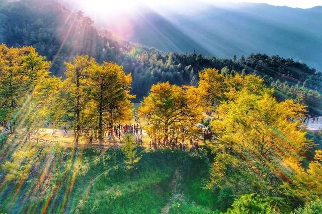 欢迎永州兄弟！盐城景区免费游