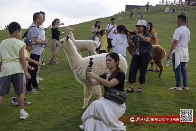我们的节日·国庆｜郴州，太会整活了！