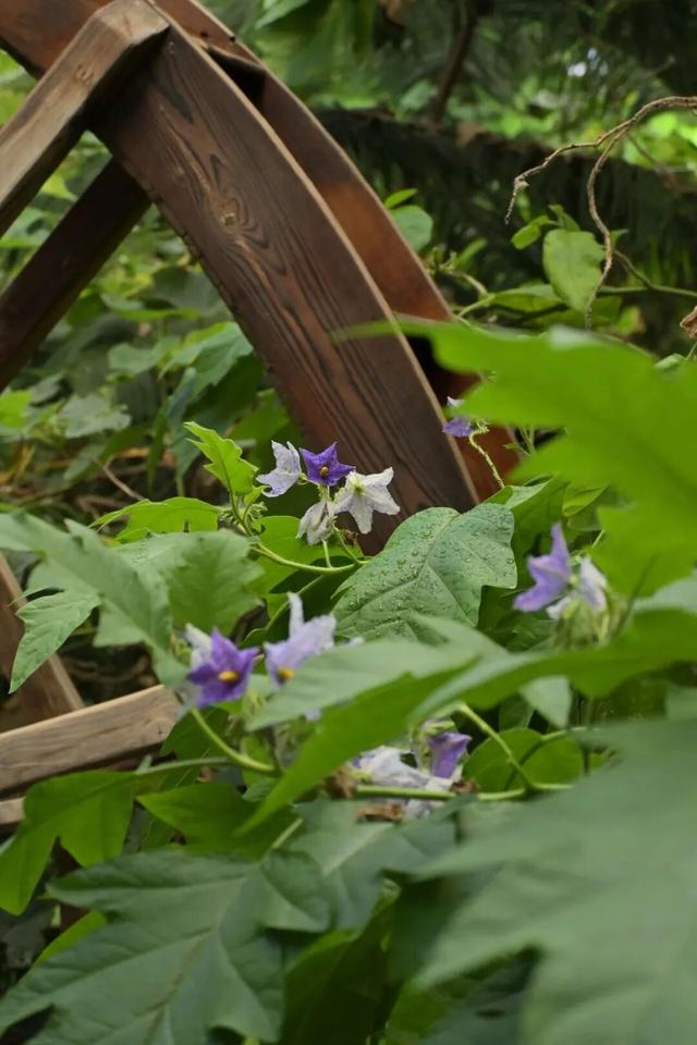 冷冷冷！雪后风起，冬游北京温暖指南——