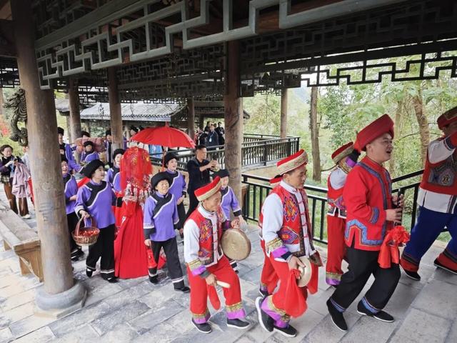 红色、生态、文化！这场龙山深度行，让嘉宾考察团“心动”了