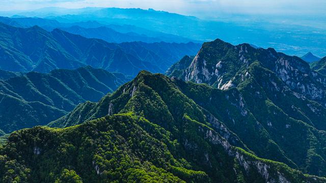 小秦岭 复一方绿，青山渐成科研金山
