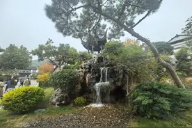 揭秘泰山·桃花源：一个集康养、休闲、研学于一体的乡村振兴典范图片