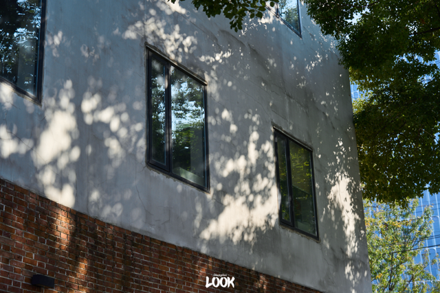 来上海为什么必逛愚园路？