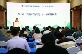 从省县域电商 “三互” 行动看肥东 “电商城” 的崛起图片