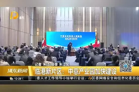 临港新片区：中意产业园加快建设视频封面
