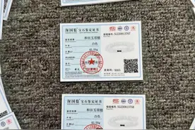 王海打假李佳琦直播间，和田玉项链复检后竟变成了大理石？图片