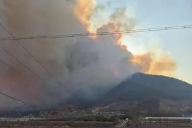 山火扩散 韩国宣布多地进入灾难状态图片