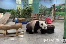 亲子游 周边游  清明假期枣庄市民这样玩图片