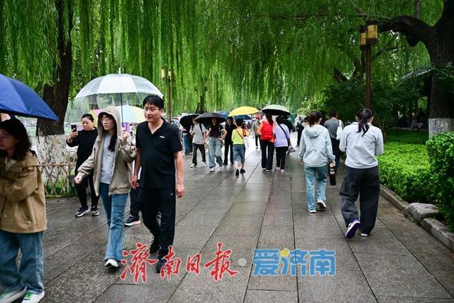一年四季 泉在济南 | 烟雨大明湖邂逅“夏雨荷”，国庆雨中游热度攀升