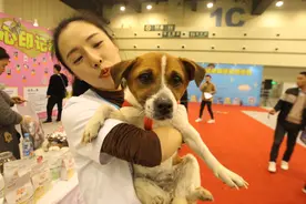 花“Young”新经济丨市场规模有望过万亿 “宠物经济”何以拉动消费新引擎？图片