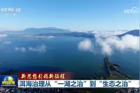 新思想引领新征程丨洱海治理从“一湖之治”到“生态之治”图片