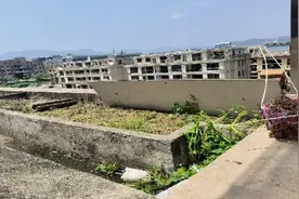 大婶为治咳嗽，在家种723株罂粟，被判刑！图片