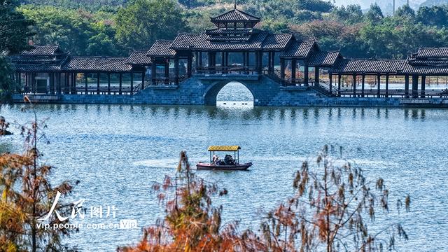 广西南宁：花花大世界景区冬景如画醉游人