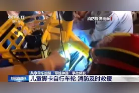 8分钟收费30元？揭秘街头“亲子共享单车”山寨乱象图片