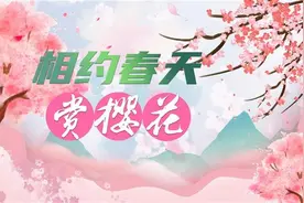国潮文化节暨武汉欢乐谷樱花季启幕图片