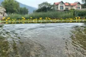 红岭村里的“莫奈花园”，我在记录图片