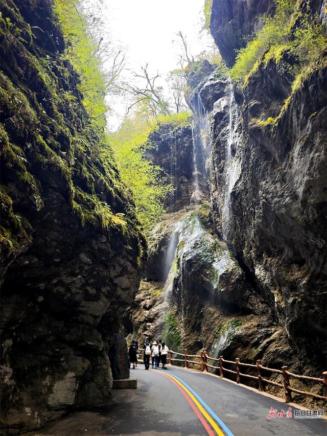 秋染官鹅沟 醉在山水间