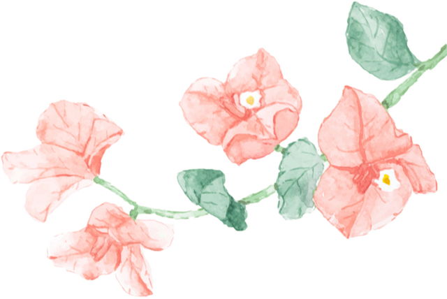 刷屏朋友圈！11月的浪漫被TA承包了，这场缤纷花事太治愈！