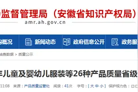 安徽省市场监管局公布2024年儿童及婴幼儿服装等26种产品质量省级监督抽查结果图片