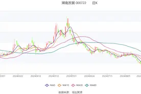 湖南发展：2024年上半年净利润4664.49万元 同比增长7.27%图片