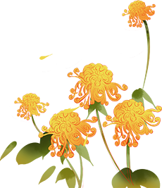 为这朵花，赴一座城→