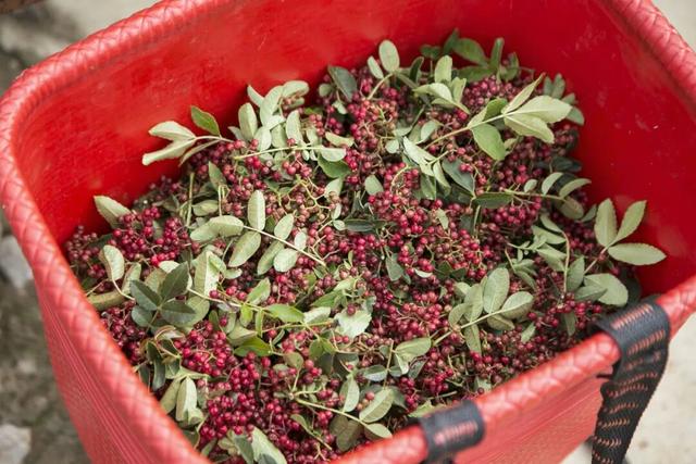 【冬季暖阳 凉山不凉】最全美食美景旅行攻略出炉！第一次来泸沽湖旅游必看！