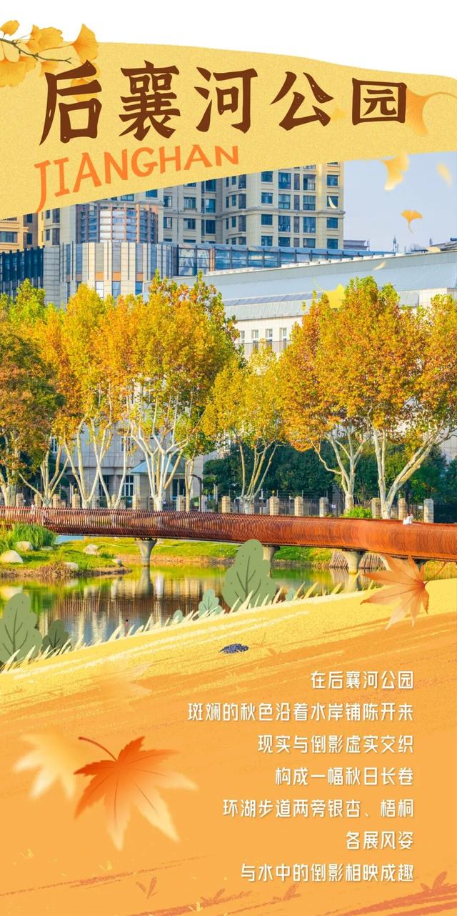 在江汉，听见公园里的秋色私语