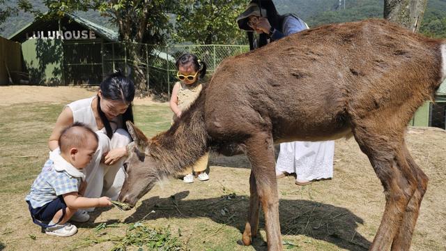 浙江金华：绿水青山间的文旅融合