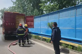 2000多只小鸡高速上中暑 消防架水枪“淋浴”降温图片