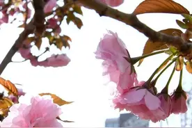 北京，没来这些地方我心如刀割图片