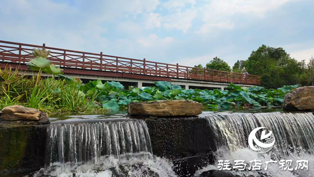 天中湿地植物园：从污水净化到诗意栖居 勾勒生态新图景