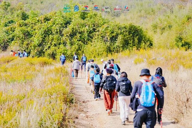 一场跨越汤山的 “自然奔赴”→