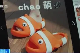 又一新风口？一年狂卖100万单！图片
