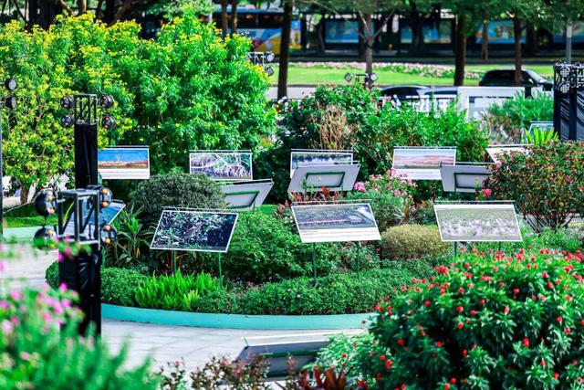 今夜共赴这场生态盛宴！Let's Join This Ecological Celebration Tonight