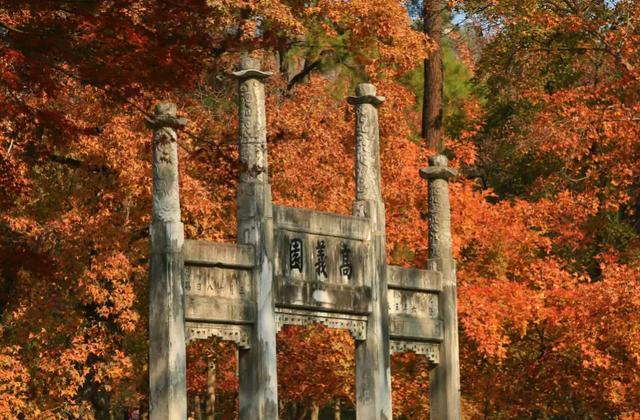 【金陵姑苏两相生】苏A与苏E 二三事~