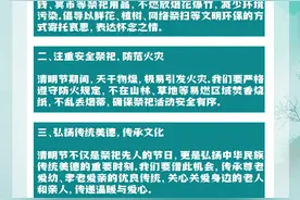【网络中国节·清明】清明节倡议书图片