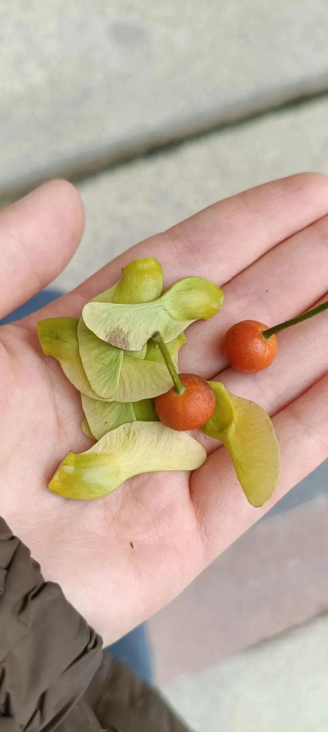 全网一致认定：最短的秋天，才是最贵的奢侈品