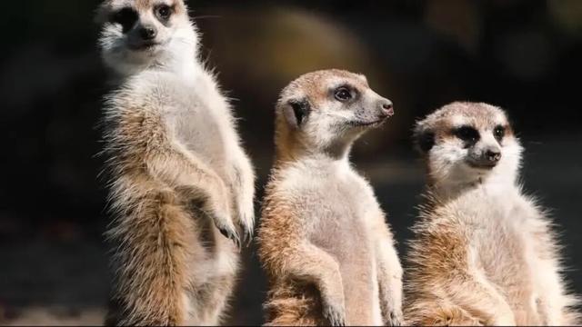 南漳秋色正当时！3个赏秋好去处，一键收藏绝美秋景